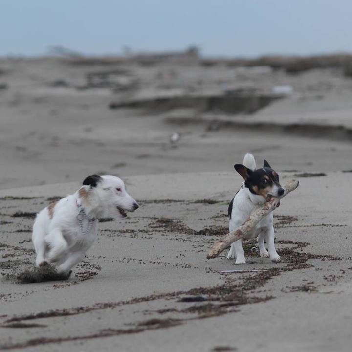 7f2b8337 31f8 4ee5 85e4 9f19de72c011