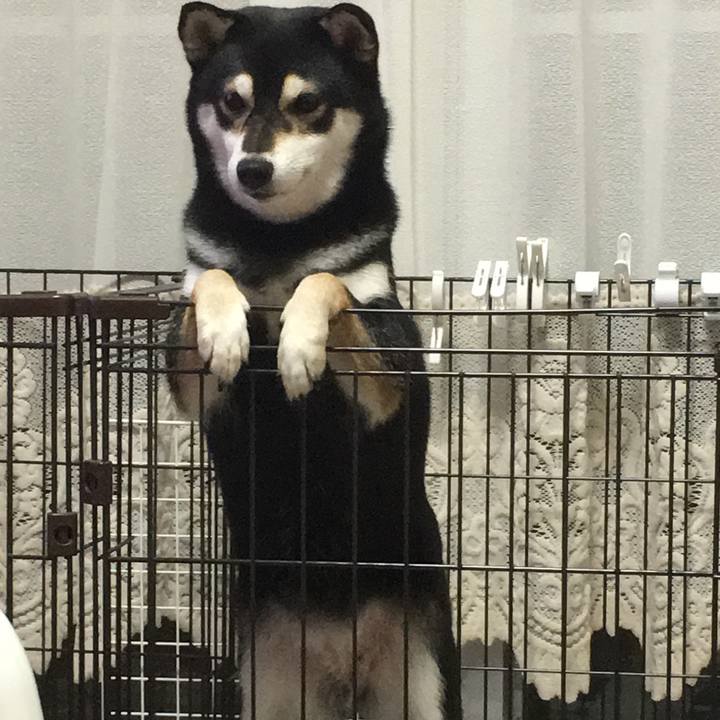 7f2c02d5 13dc 406c 8fa8 8fc6b61f5645