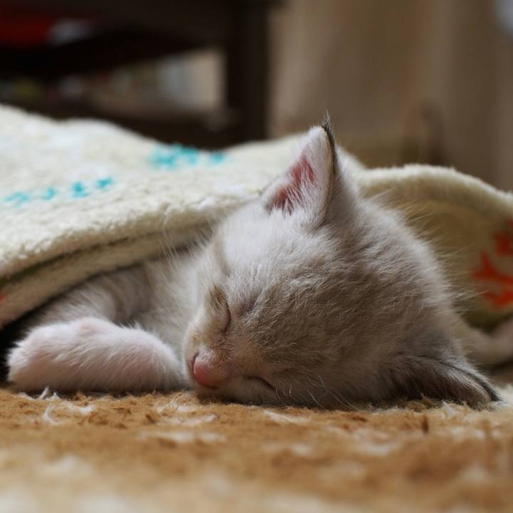 7f2c0ac9 28a2 407e b41e 92328e342664