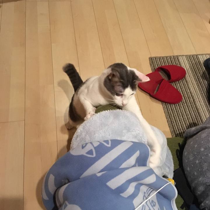 7f2d3eae 078c 48d2 8aaa 3e224800097c