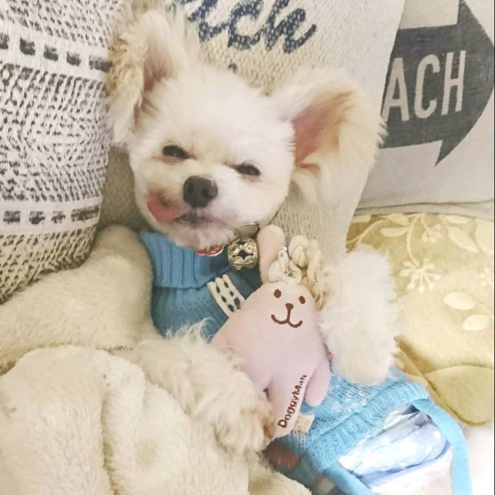 7f2e0fe4 1593 4886 b87e 3e648a5deaa4