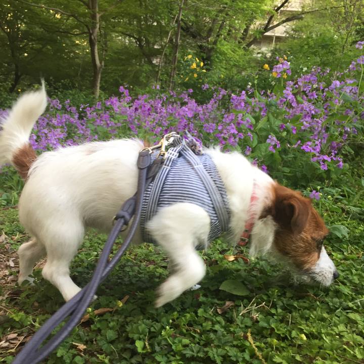 7f2e8097 b0b2 462e 96ac d6cac0423b9f