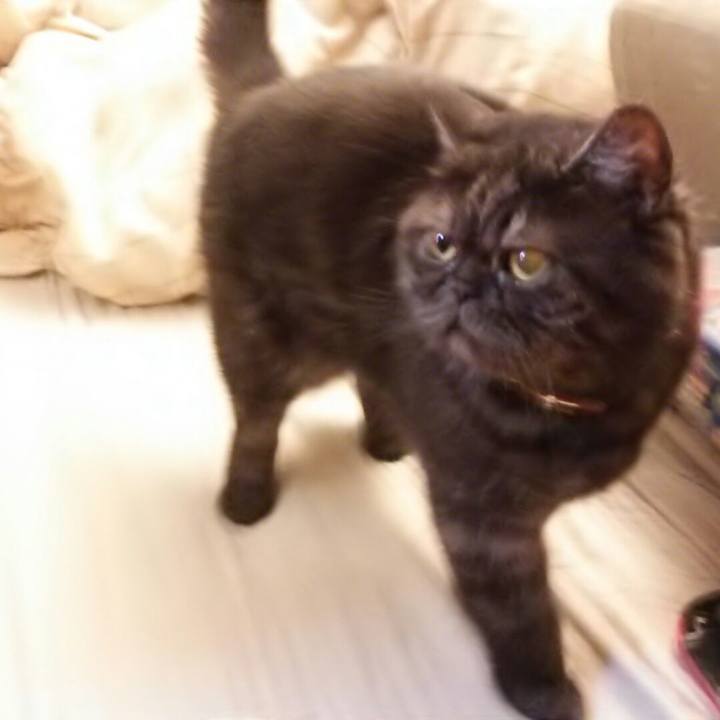 7f300803 5f9d 4764 9642 964adabe4944