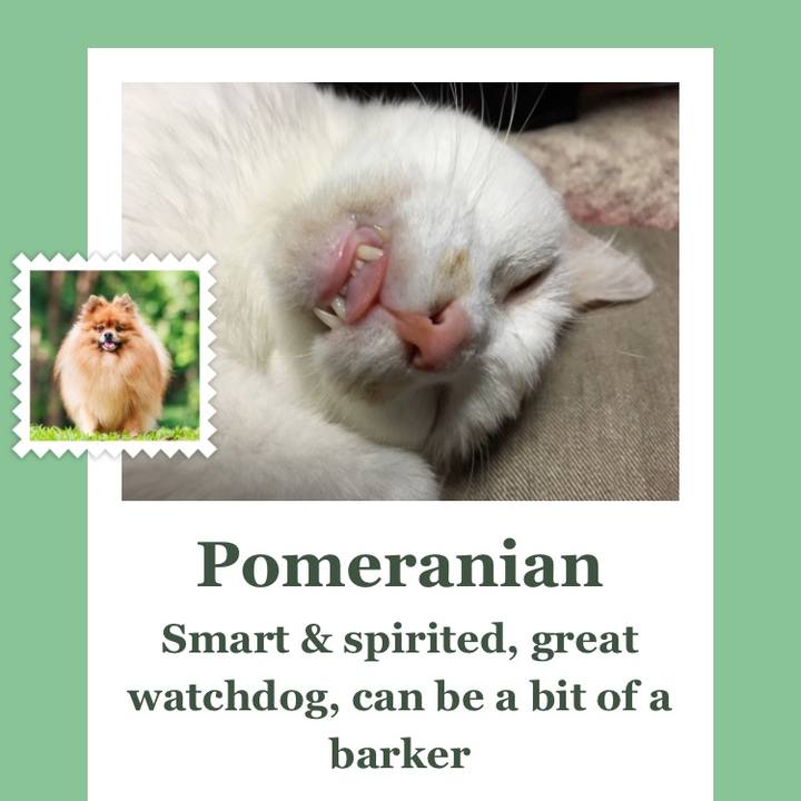 7f3130fc 38bc 4b12 b814 488a81497b57