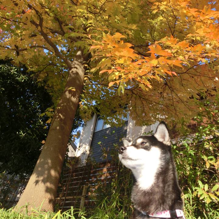 7f32ba0a 9580 4012 a068 0c6b3052ddb5