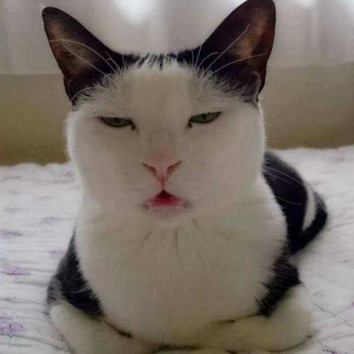 7f32c8fe 88f2 4798 b394 dd72282f44b4