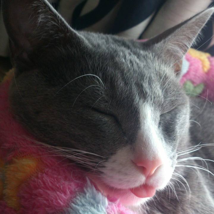 7f32d7ea 3662 475b a280 856f99069b4e