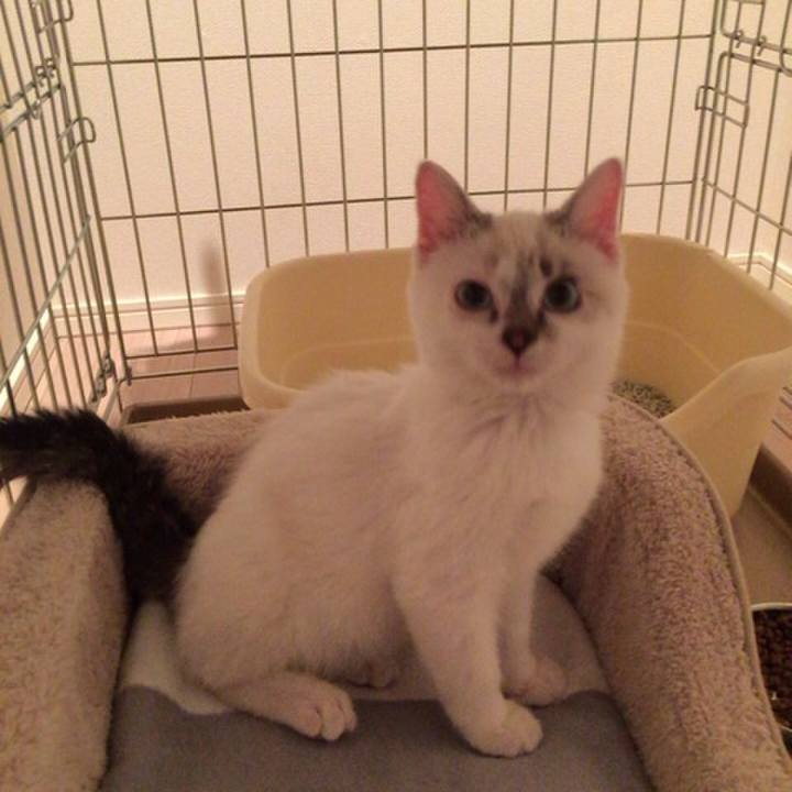 7f32ec28 4a67 42c4 83af 8b96bc9995e5