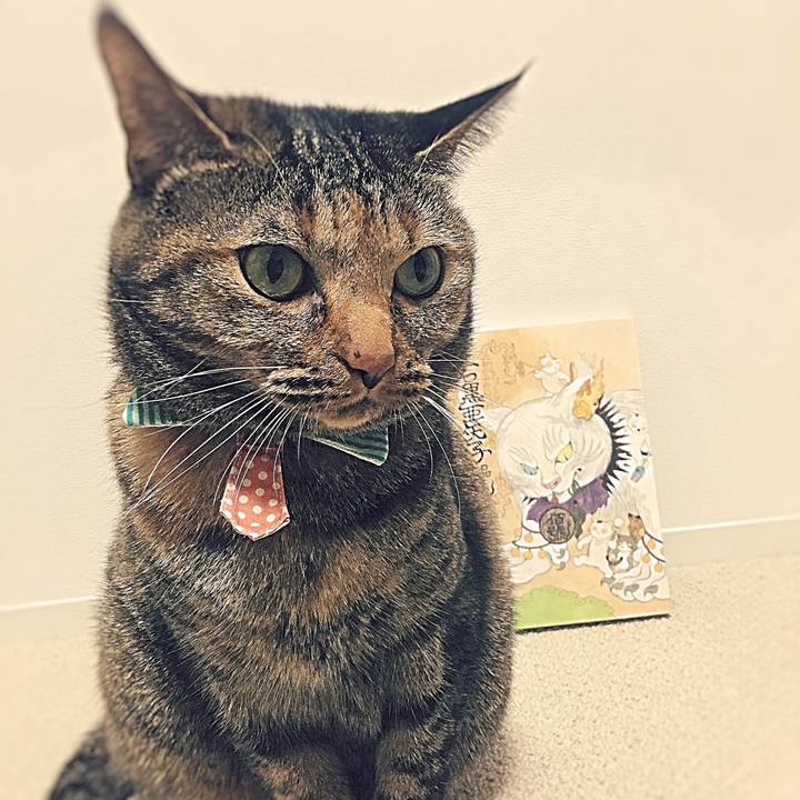 7f332aa6 dd89 4177 8475 eb53a28d820f