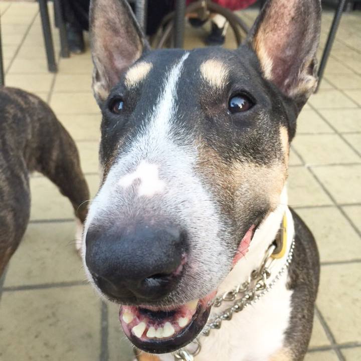 7f33d0f1 21ac 4bf1 bd93 5a9807b1754a