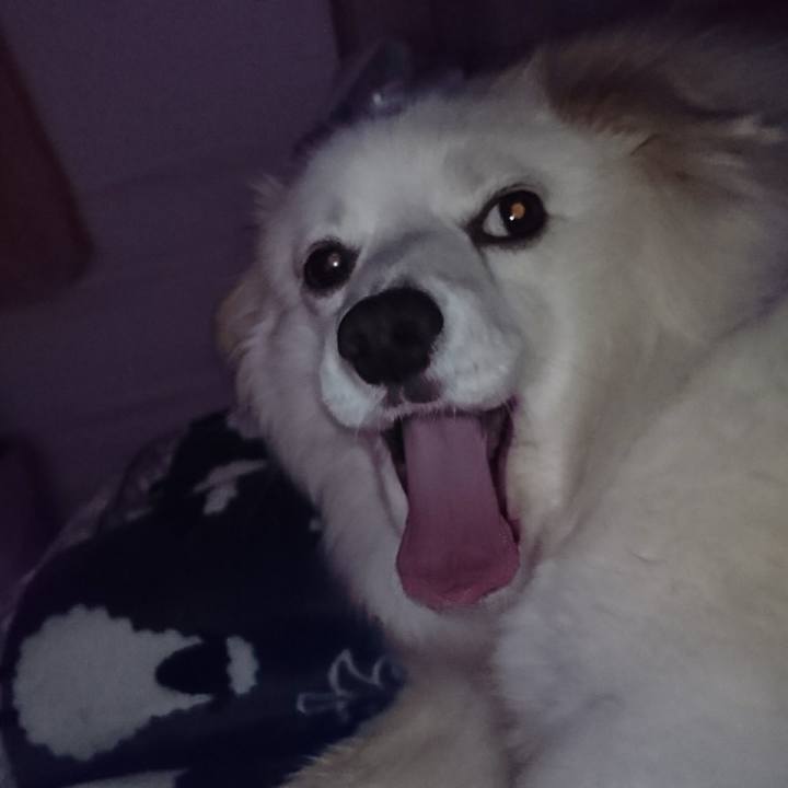 7f33f8e4 2938 46ca ac87 5ee7f7ab3215