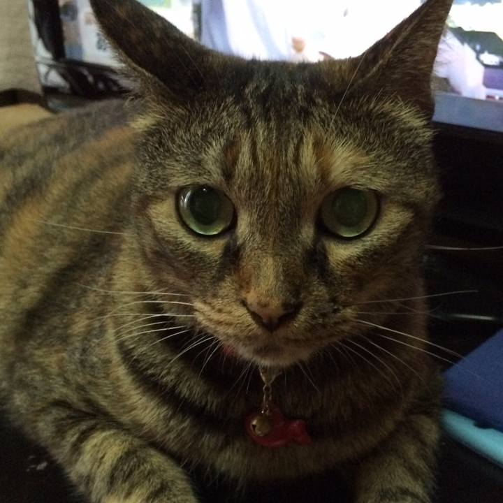 7f3422a8 fbe9 4289 befa 18d9a3e2ac55