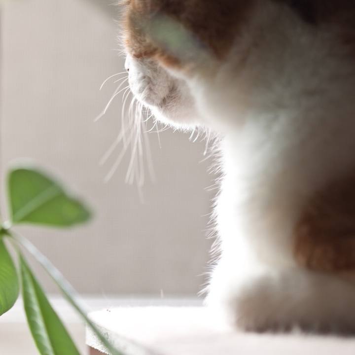 7f348427 49d2 41b6 8ca5 20ef37fd794f