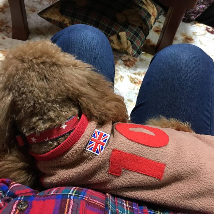 7f34ff65 2025 41ca 9564 95b25a425d53