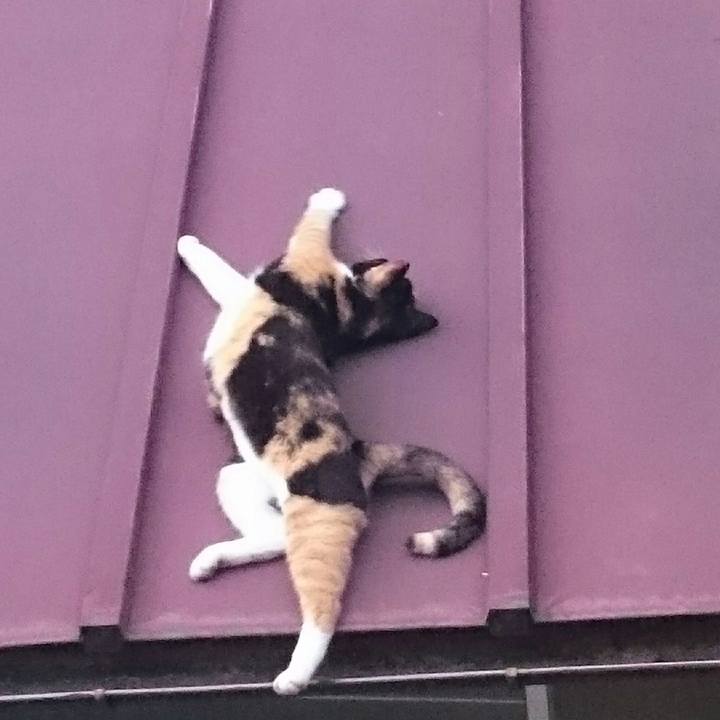 7f353501 0aed 4b49 9108 6e0f879d77ef