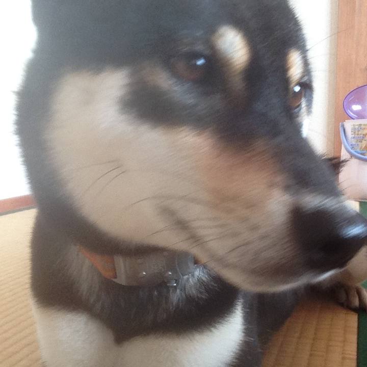 7f36102c d4d5 4dea 8ef9 675d016f46dc