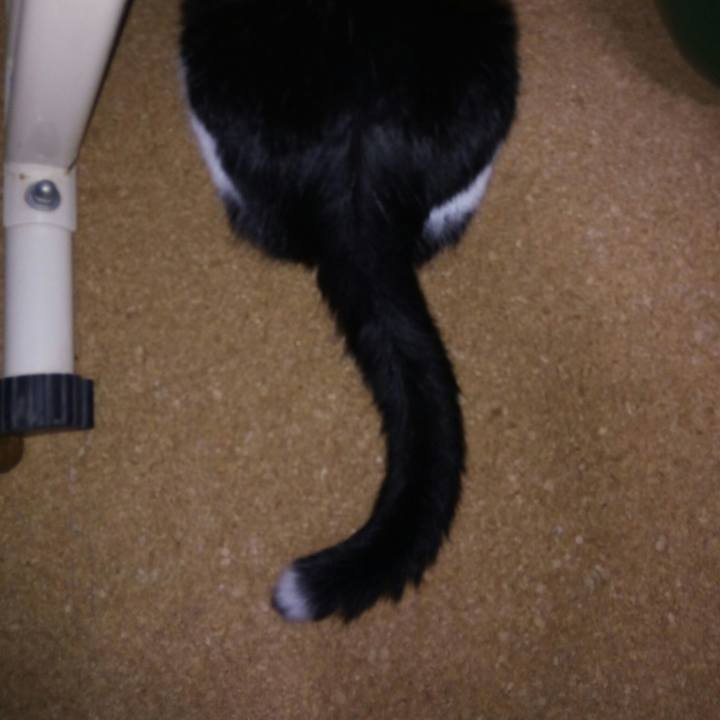 7f367ea1 750b 4d79 b801 1b11c1e176cc