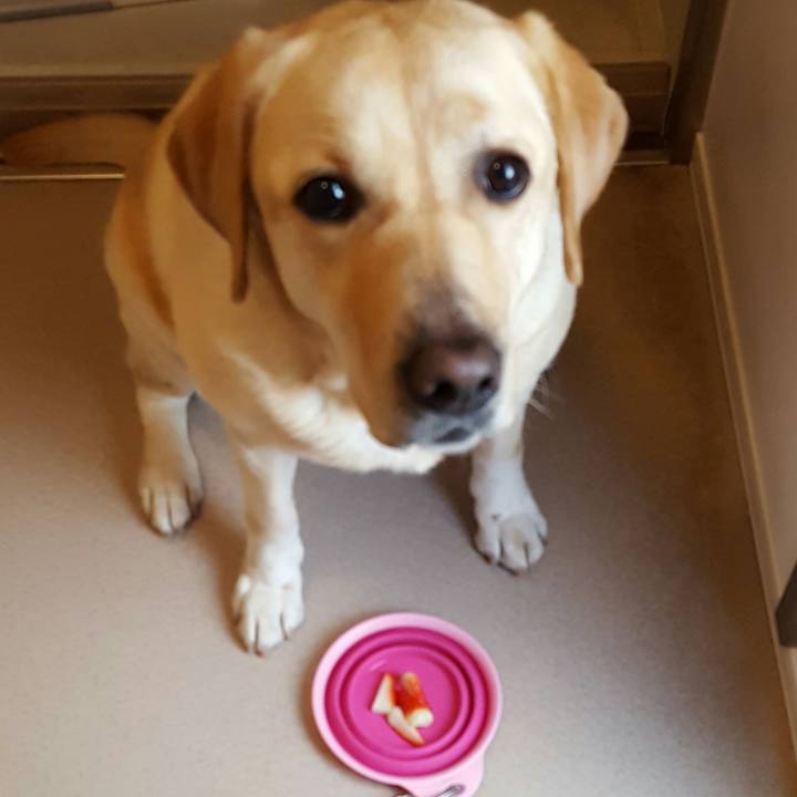 7f36c123 e74e 4ce4 a0d3 05cfb1b68581