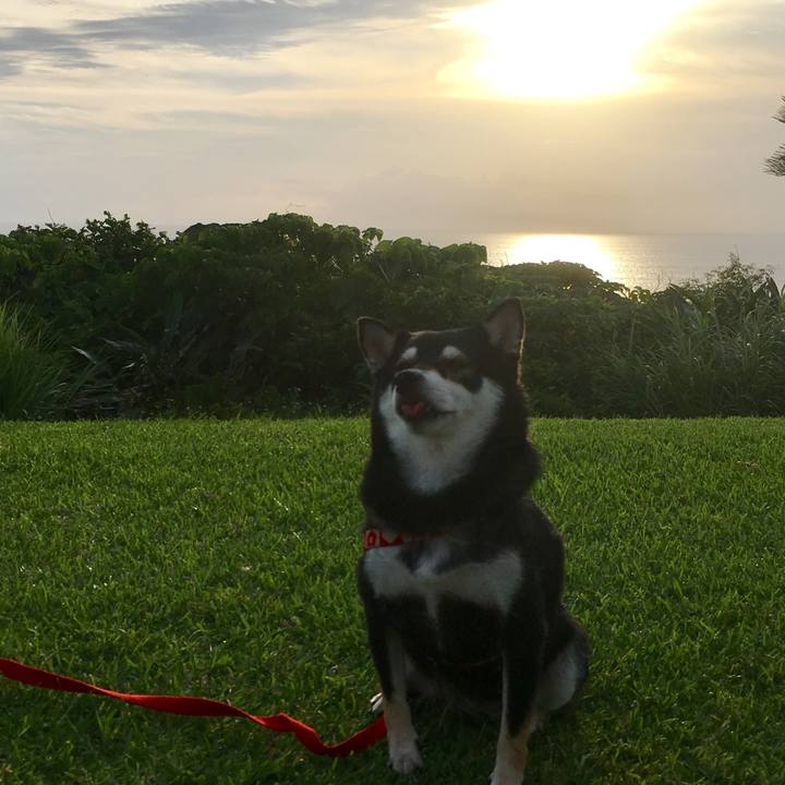 7f36ff5d 9998 4542 b0cb 26e2a03bef5a