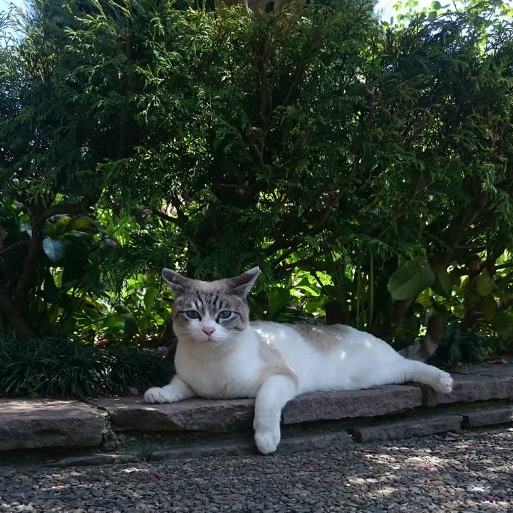 7f373976 bb2b 406c a28e bea741c12a93