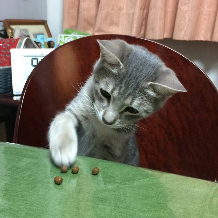 7f37aea8 f36c 4951 aaea 4bc0f67eb68a