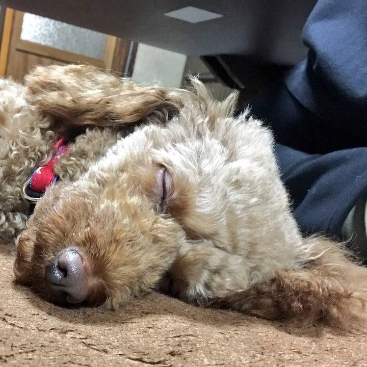 7f37c11b 751d 4079 ab13 c97d1e315cbf