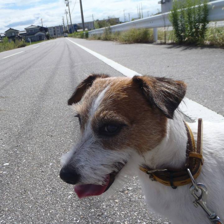 7f38d494 21a6 466b 89cb 812dc20cd796