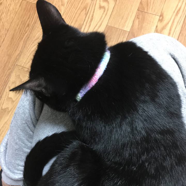 7f39237d 167d 4f3f aa68 a6bebc9822c9