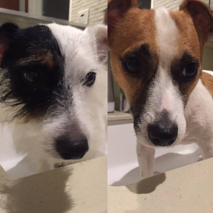 7f39962f 2c35 451d b6bf 385bf800d8fa