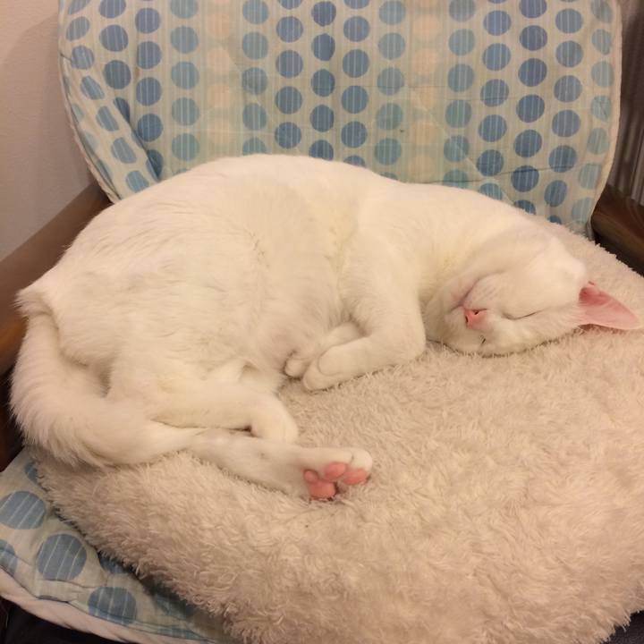 7f39c741 6eeb 4af0 908a 52ef81dbe845