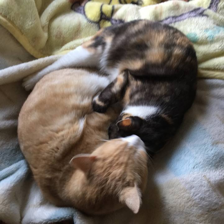 7f39dbf7 9d8e 4097 9b0b 7fea5746931c