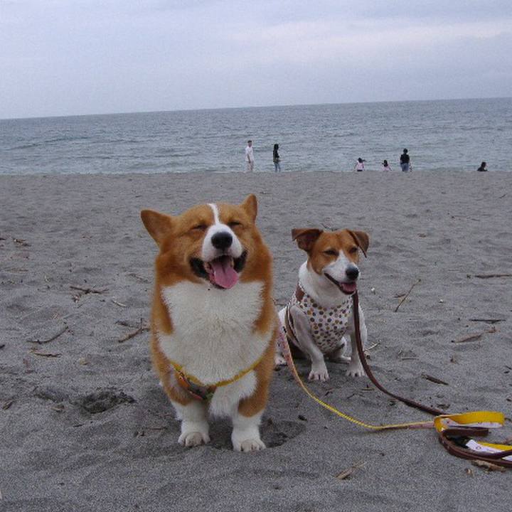 7f3a0508 073a 4f2a 9ffb 7ce2810fc3a1