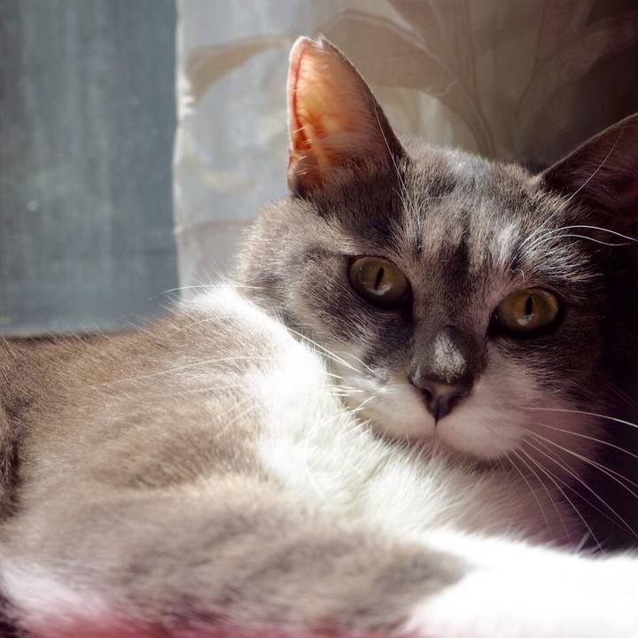 7f3a84b3 6ffc 4f5a a845 cd927720a517