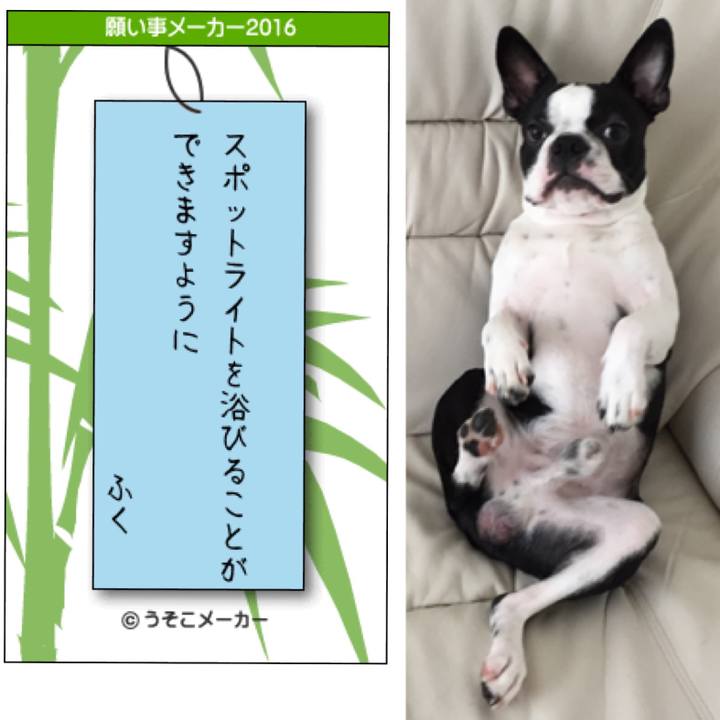 7f3af5bf 3c66 4624 84f2 06969a09cb29