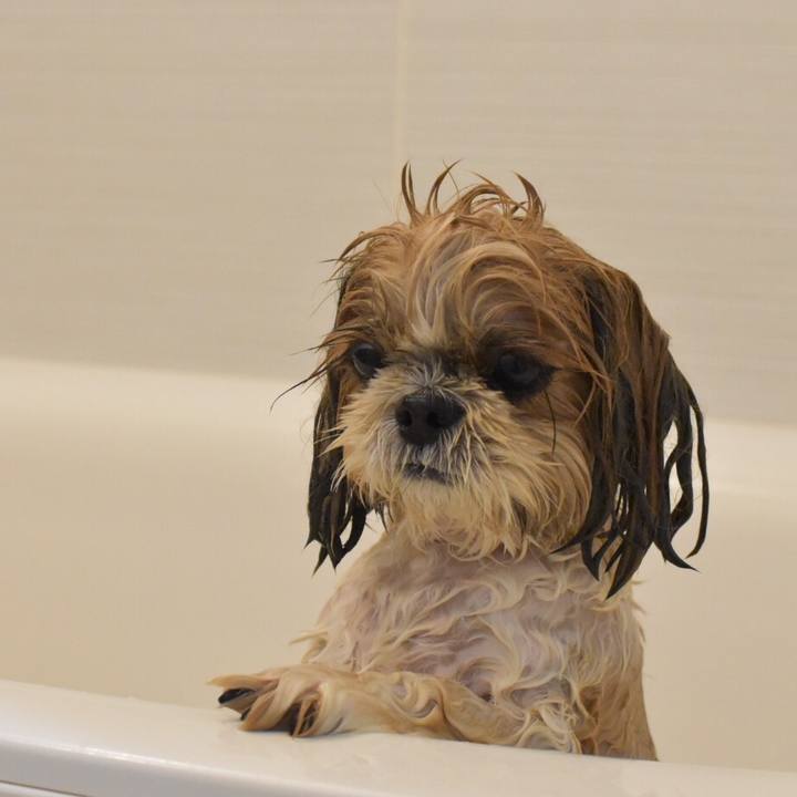 7f3b131d 7f3e 4524 b240 29c08f8c5de4