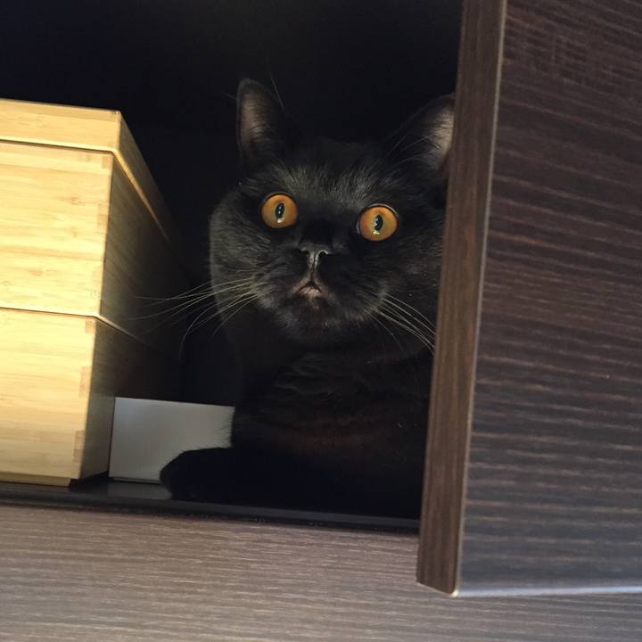 7f3b92fb a0b8 4a10 9ac4 51a939f1703b