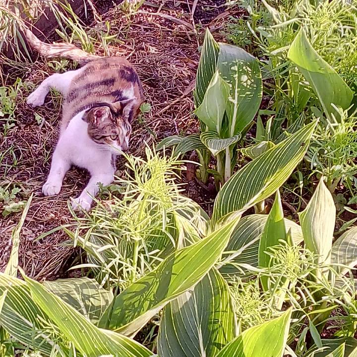 7f3bb66c 3229 4683 a15c ab3b22a3a508