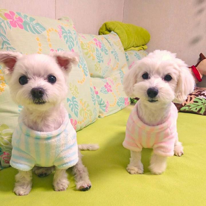 7f3c44e7 730b 4534 913c d3365485f370