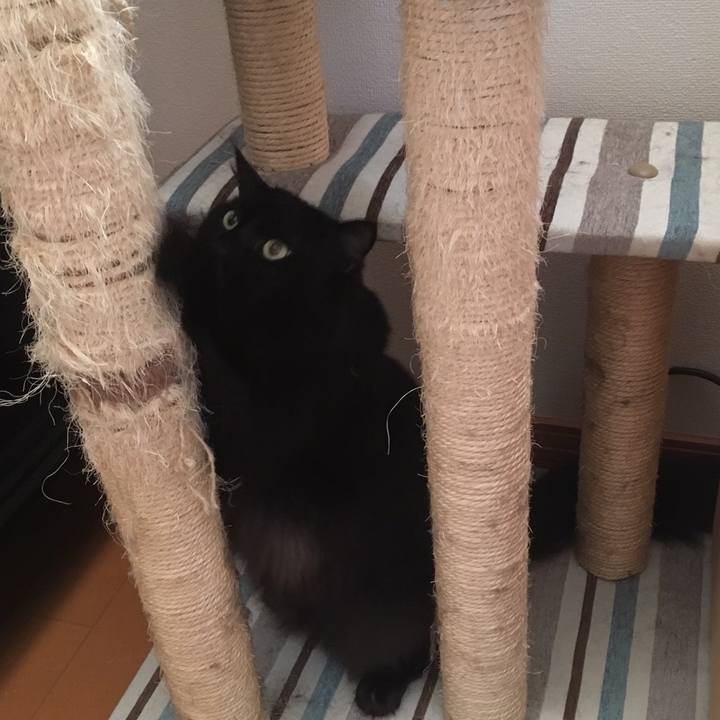 7f3c7390 5569 4249 9fd2 8e68aa4fa7f6