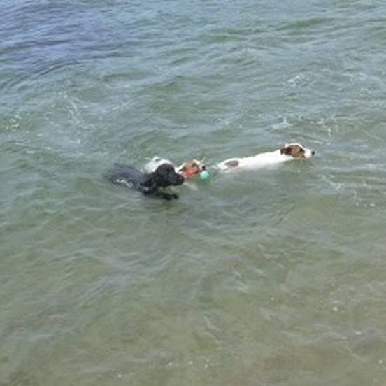 7f3c7ac0 9142 4d49 8b34 d74f01d0eed2