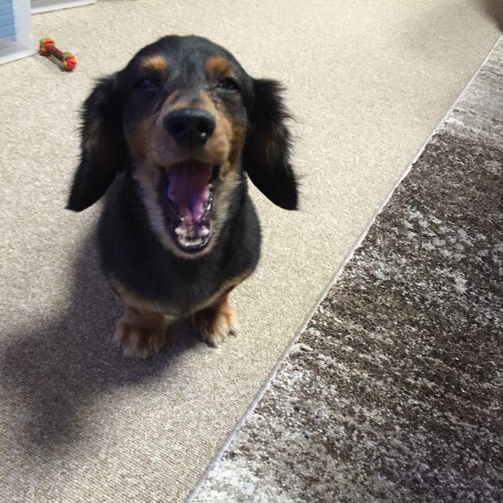 7f3d9850 7d68 418a b951 ca325c280b58