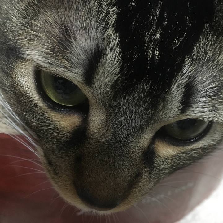 7f3dd53d 7c2d 4b54 8d7b 8714ad91032c