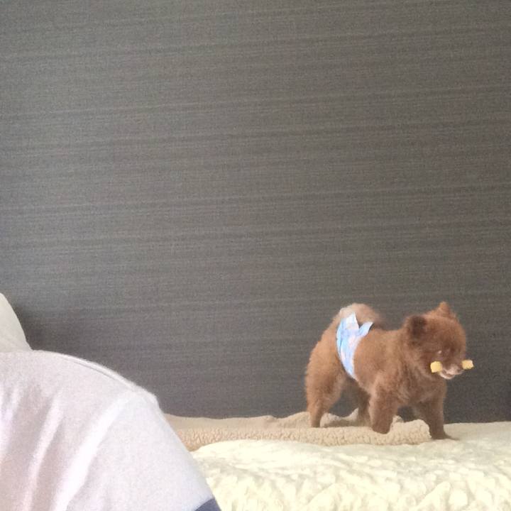 7f3e766e f65d 41e4 a643 a8eaedbb7322