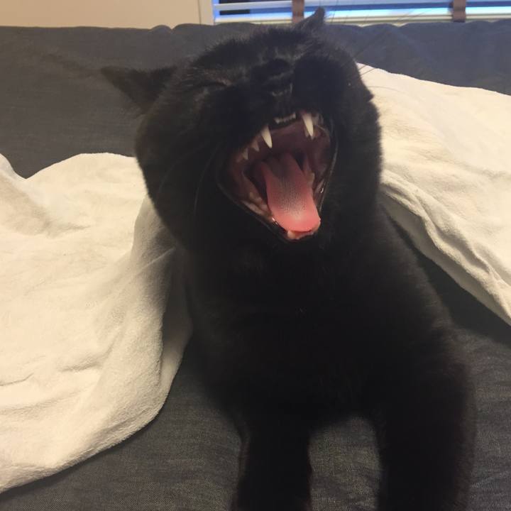 7f3ed36a 6d29 4e7e bb6e 648d0a4de596