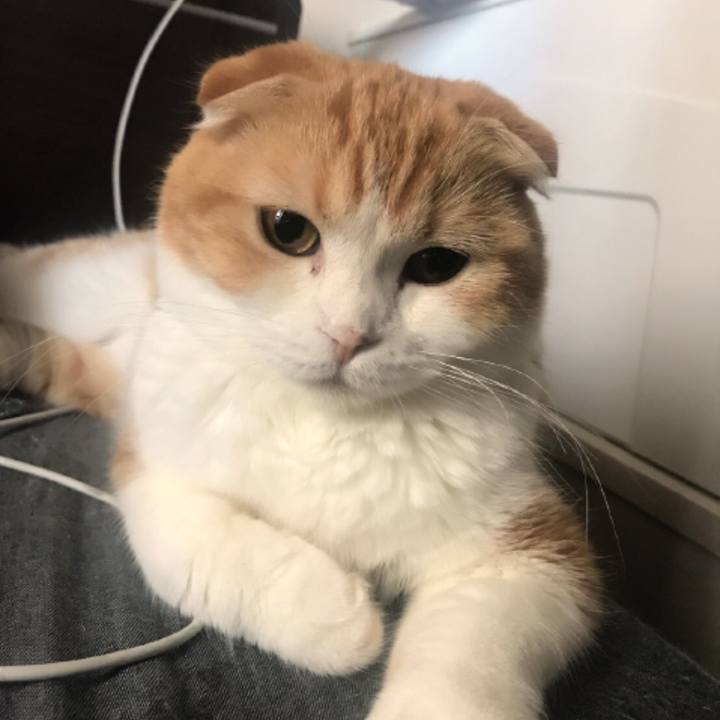 7f3ee6ec f8f6 461d 8d20 8d23b75b0867