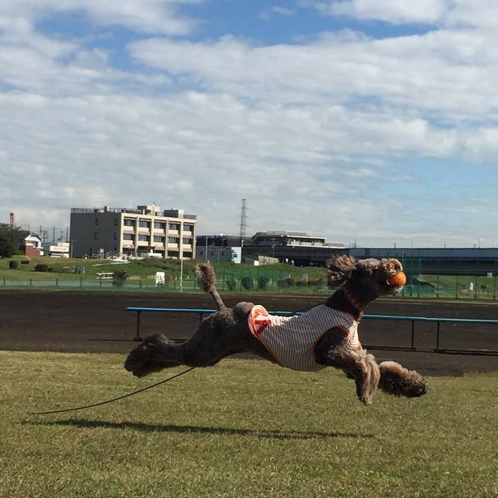 7f3ef9c1 0212 4210 ac76 428df0c65429