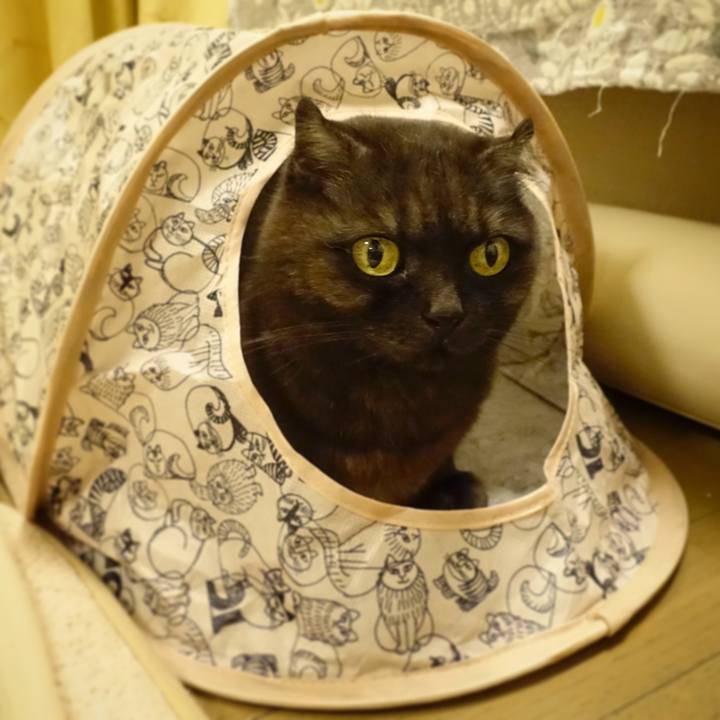 7f4006a2 b353 425f ab5c bb086098f9a5