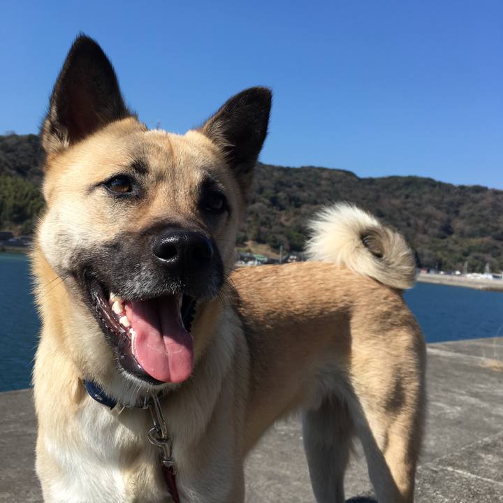 7f400d95 22c0 4a1c ba17 9e77c32a7710