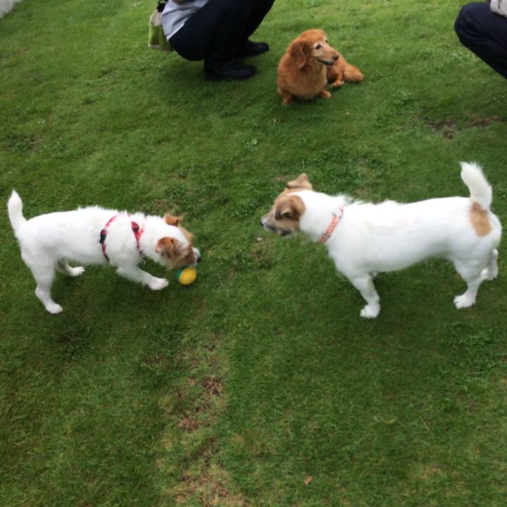 7f40a1b6 6c18 4080 9d03 bb6ee895643a