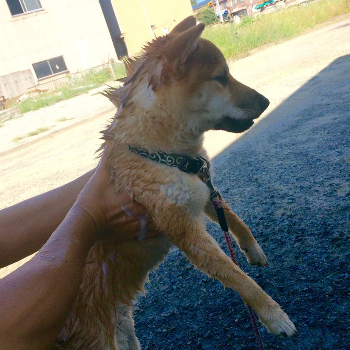 7f41419e 0d30 465c 865e 0d447a2bbb30